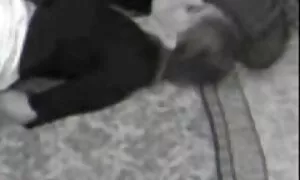 वयस्क, आकर्षक महिला, काले बाल वाली, एच. डी., मूठ मारना, अकेले, हिंदी में सेक्सी मूवी वीडियो मोज़ा, खिलौने, योनि